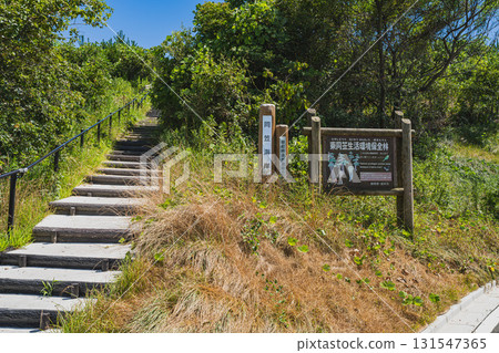 Scenery around Togasa Beach in Fukuroi City (Shizuoka Prefecture) Scenery around Togasa Beach in Fukuroi City (Shizuoka Prefecture) 131547365
