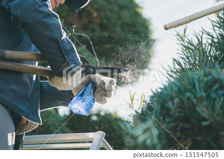 pruning, gents, male 131547505