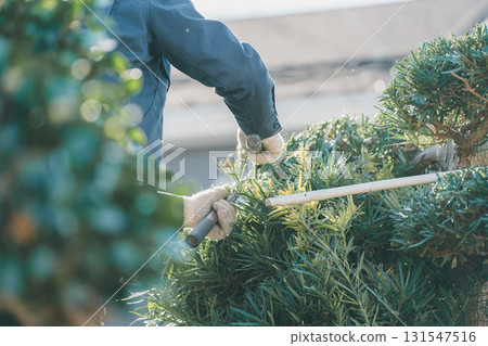 gents, male, males 131547516