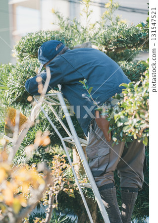 園丁 男人 男 131547521