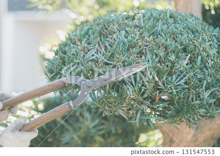 園丁 男人 男 131547553