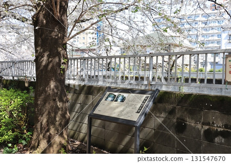 東京新宿神田川魚道 東京新宿神田川魚道 131547670