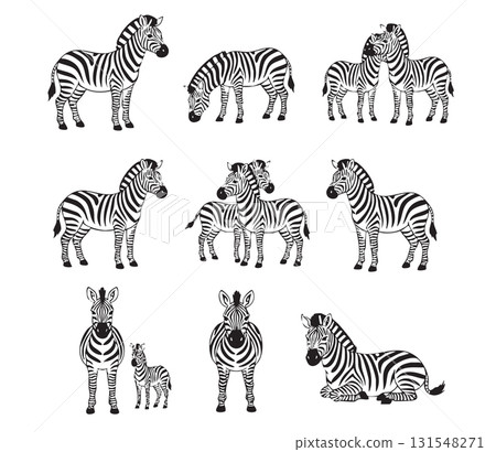 A set of zebra illustrations in various poses, from standing to resting, focusing on the distinct black and white stripes. 131548271