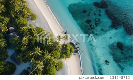 Verdant palm grove bordering pristine white shoreline with crystal turquoise waters, revealing dramatic landscape contrast from high altitude aerial perspective 131548713