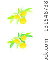 Colorful Yuzu illustration 131548738