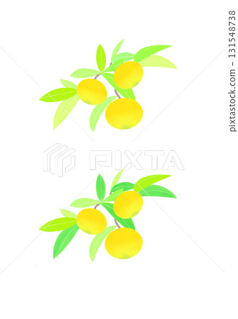 Colorful Yuzu illustration 131548738