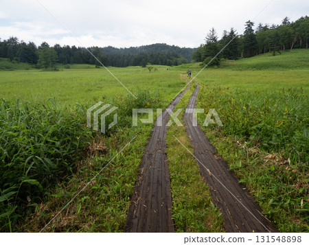 The arrival of summer in Oze 131548898