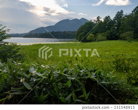 尾瀨的夏天到來 131548913