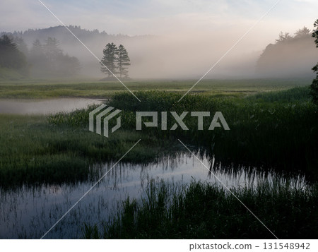 尾瀨的夏天到來 131548942