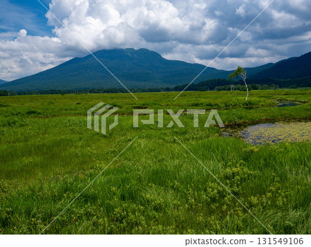 尾瀨的美麗山脈和自然風光 尾瀨的美麗山脈和自然風光 131549106