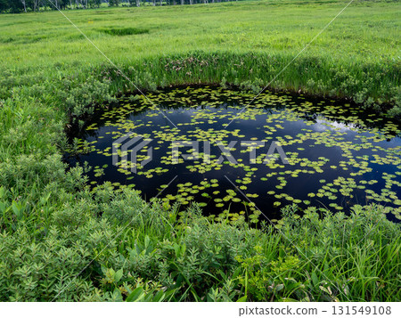 The beautiful mountains and nature of Oze 131549108