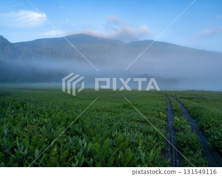 The beautiful mountains and nature of Oze The beautiful mountains and nature of Oze 131549116