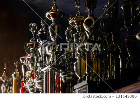 琳瑯滿目的獎杯 131549390