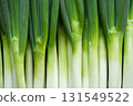 Long onion (2) 131549522