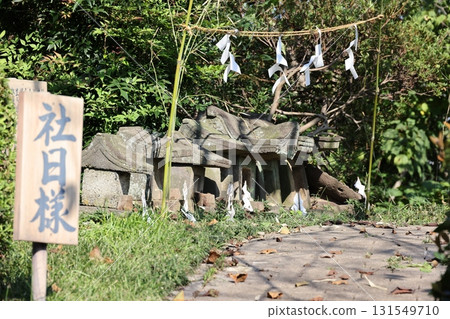 群馬縣伊勢崎市橋園沼湖畔的斜月神社 131549710