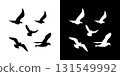 Seagull silhouette fly gull bird black icon shape graphic 131549992