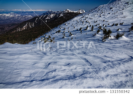 從八嶽山脈的赤灣之脊眺望北阿爾卑斯山脈的天狗山、蓼科山和白馬山 131550342