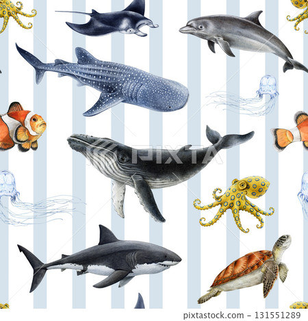 Australia marine life animals seamless pattern. Hand drawn great white shark, whale shark, humpback whale, green sea turtle, manta ray watercolor vintage style illustration on striped background Australia marine life animals seamless pattern. Hand drawn great white shark, whale shark, humpback whale, green sea turtle, manta ray watercolor vintage style illustration on striped background 131551289