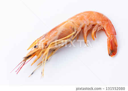 帶紅蝦 131552080