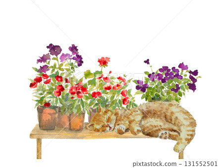 Illustration of a cat sleeping with a watercolor potted flower in the background [Watercolor painting] White background Transparent background Copy space available 131552501