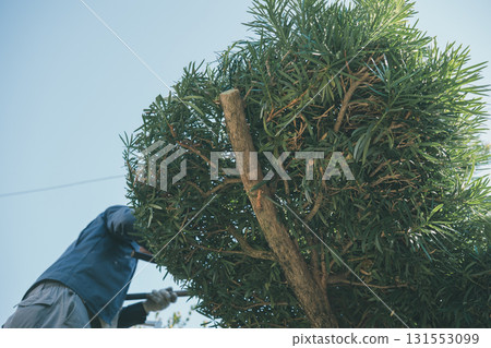 gardener, landscaper, gents 131553099