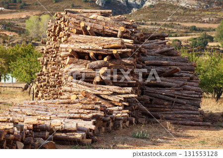 Pile of wooden logs 131553128