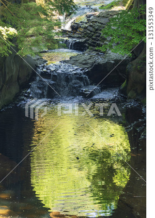 Reflection of a river with lush green leaves Reflection of a river with lush green leaves 131553349