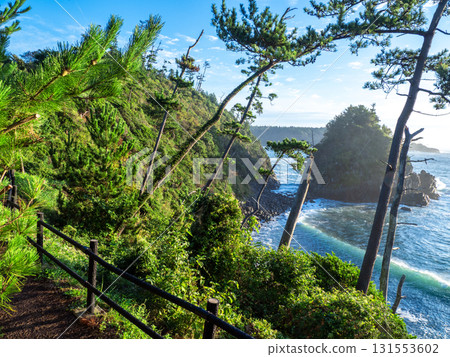 氣仙沼市大島龍脈岬(宮城縣氣仙沼市) 氣仙沼市大島龍脈岬(宮城縣氣仙沼市) 131553602
