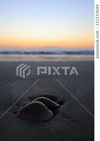 早晨陽光下的海灘 早晨陽光下的海灘 131553649