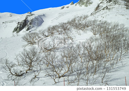 Kiso Komagatake在冬天 Kiso Komagatake在冬天 131553749