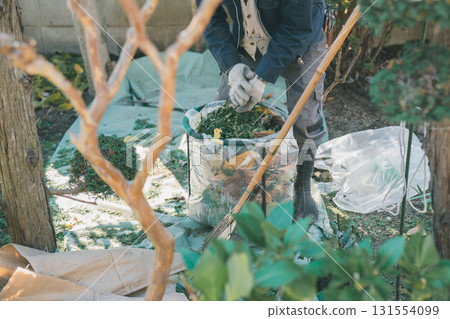 gardening, pruning, falling leafe 131554099