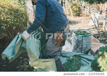 garden, gardening, pruning 131554105