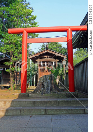伊草八幡神社(杉並) 伊草八幡神社(杉並) 131554195