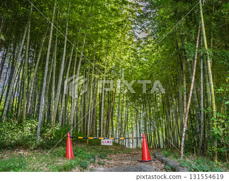 A "No Entry" warning sign at the entrance to the bamboo forest 131554619