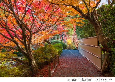 Colorful autumn leaf tunnel along path by lake at Ryoan-ji temple, Kyoto Colorful autumn leaf tunnel along path by lake at Ryoan-ji temple, Kyoto 131555076
