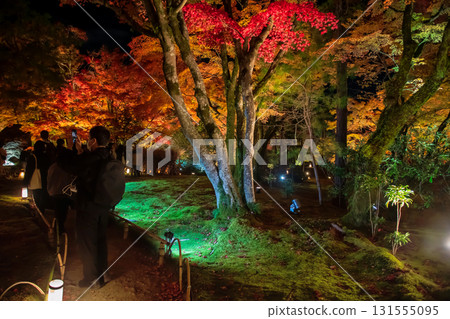 people on route of maple leaf tunnel light up, Hogonin temple, Arashiyama 131555095