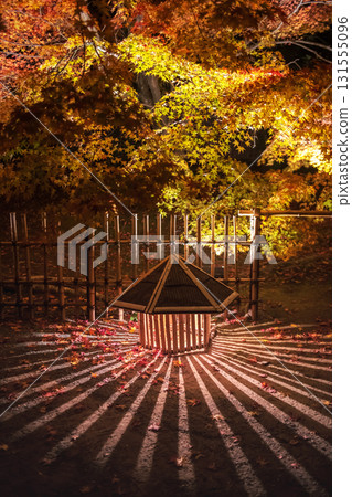 Lantern and colorful maple foliage light up, Hogonin temple, Arashiyama 131555096