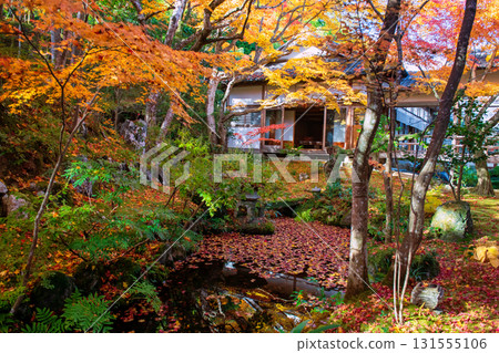 fall garden by pond and Jojakkoji Temple building, Arashiyama 131555106