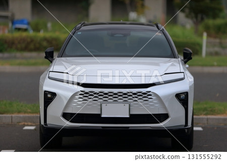 Domestic SUV wagon image 131555292