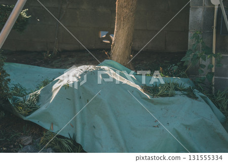 花園 院子 園藝 131555334