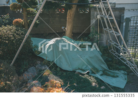 花園 院子 園藝 131555335