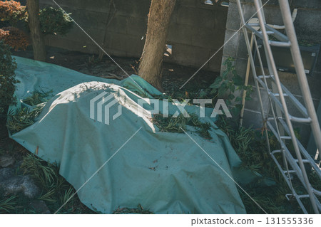 gardener, garden, pruning 131555336