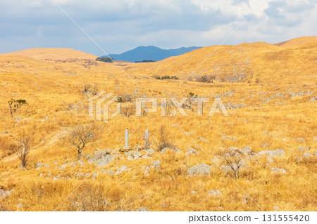 Akiyoshidai in winter: Japan's largest karst plateau 131555420