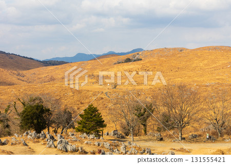 冬季的秋吉台:日本最大的喀斯特高原 冬季的秋吉台:日本最大的喀斯特高原 131555421