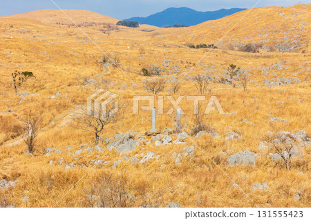 Akiyoshidai in winter: Japan's largest karst plateau 131555423