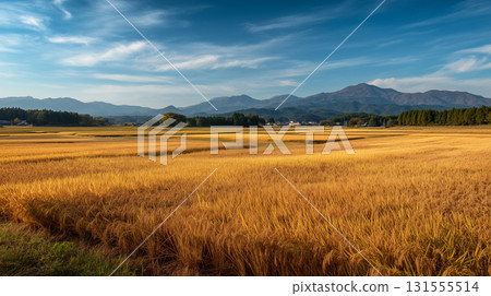 鄉村秋景 | 水稻收割後的稻田與山脈 131555514