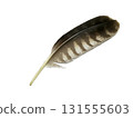 This is a photograph of the feathers of birds of prey such as falcons, hawks, and owls taken against a white background. 131555603