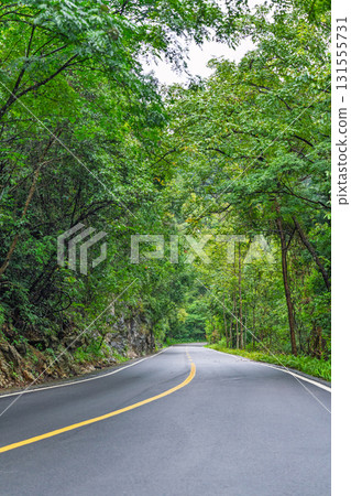 Empty winding road among green mountains and forests 131555731