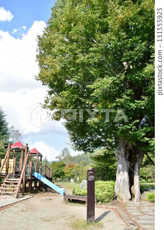 Lake Yamanaka Hananomiyako Park: The Tree of Happiness and playground equipment at Seiryu no Sato Lake Yamanaka Hananomiyako Park: The Tree of Happiness and playground equipment at Seiryu no Sato 131555925