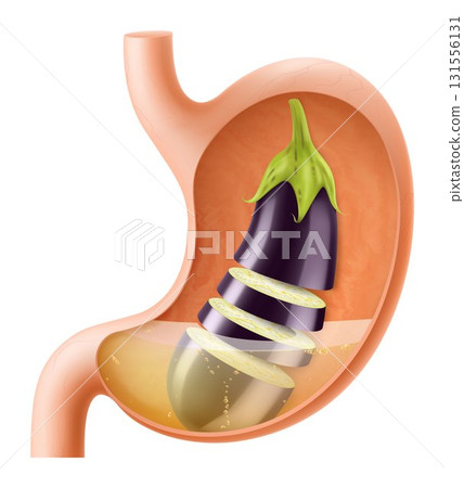 Human Stomach with eggplant. The stomach digests aubergine. A stomach filled with healthy and wholesome food. Proper nutrition. Realistic 3d Vector illustration. Food digestion process illustration 131556131